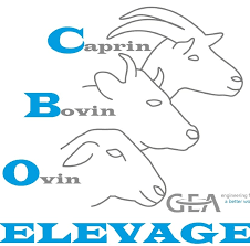 CBO Elevage